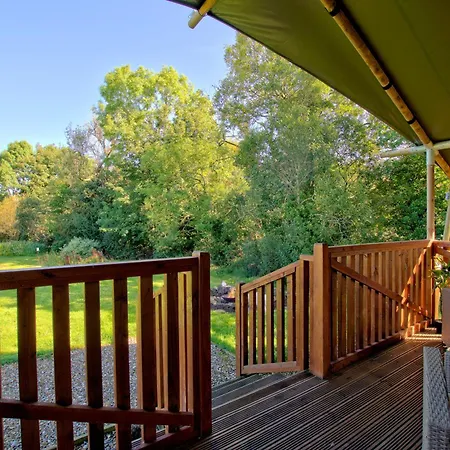 Little North Field Harrogate