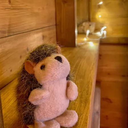 Little North Field Tente de luxe Harrogate