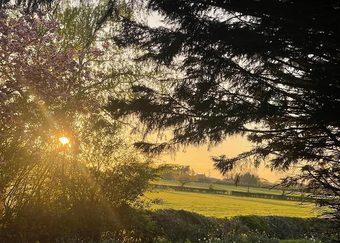 Little North Field *