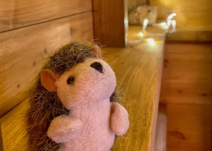 Little North Field Tente de luxe Harrogate