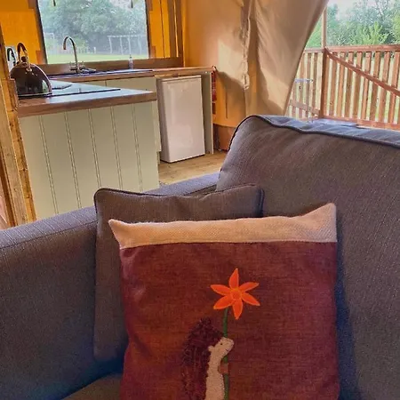 Little North Field Harrogate