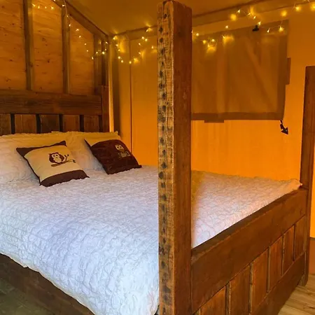 Lüks kamp alanı Little North Field Harrogate