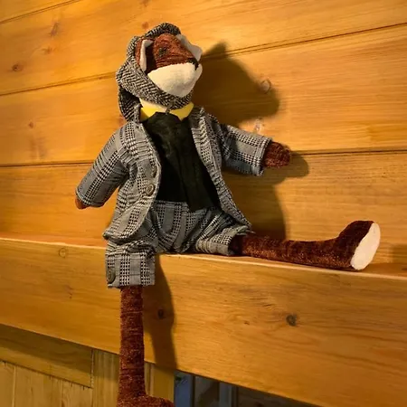 Little North Field Harrogate